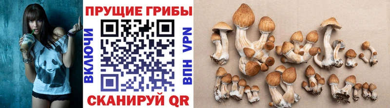 Галлюциногенные грибы MAGIC MUSHROOMS  Купить где  Юрюзань